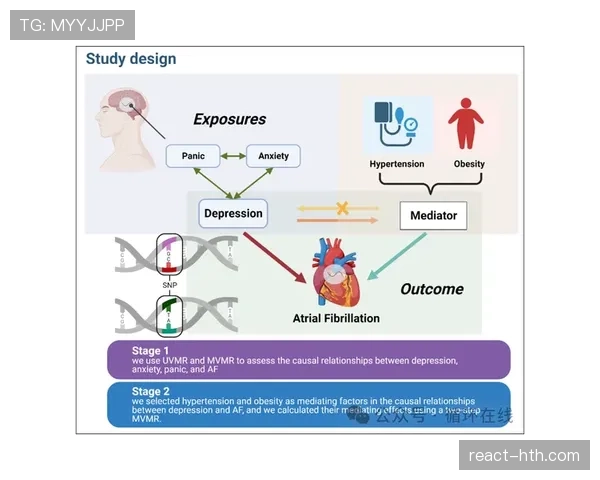 赖斯个人表现与团队成绩的生涯关联分析 赖斯个人表现与团队成绩的生涯关联分析
